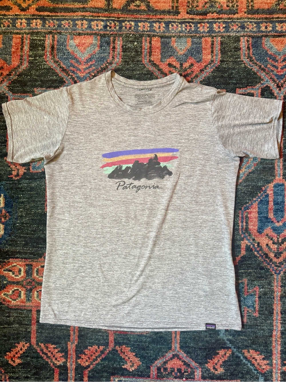 Patagonia Capilene Cool Daily Graphic Shirt